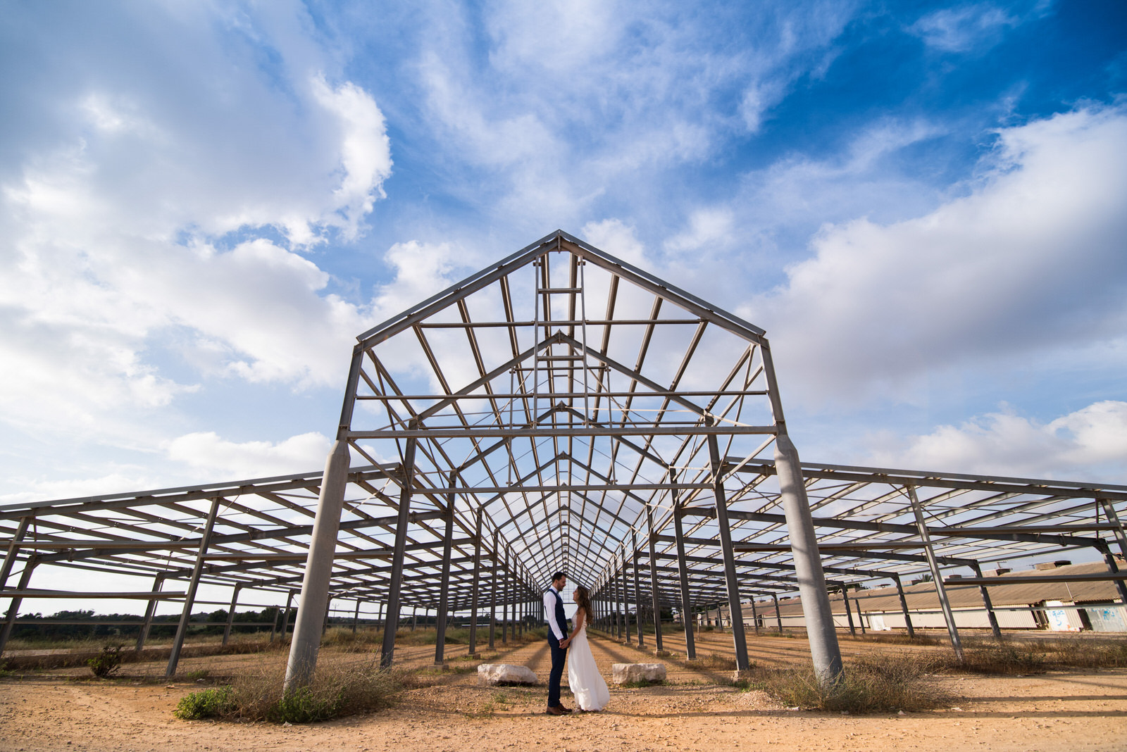 wed0044 שרי וורנר (3)